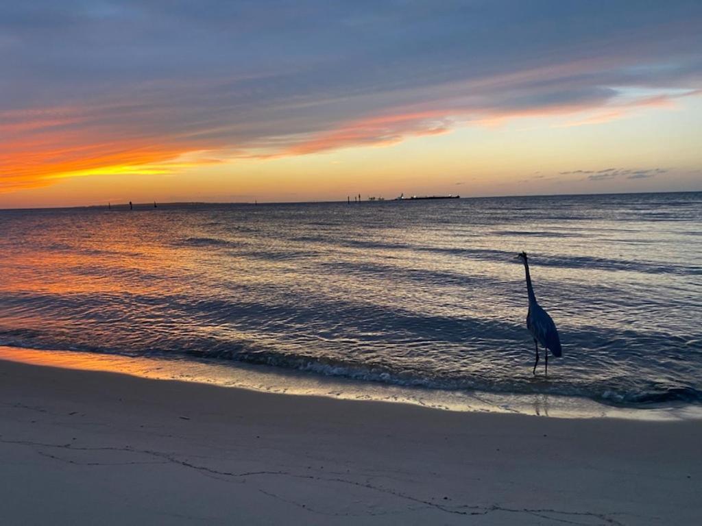 Budget Friendly Condo Within Walking Distance To The Beach! Gulf Shores Luaran gambar